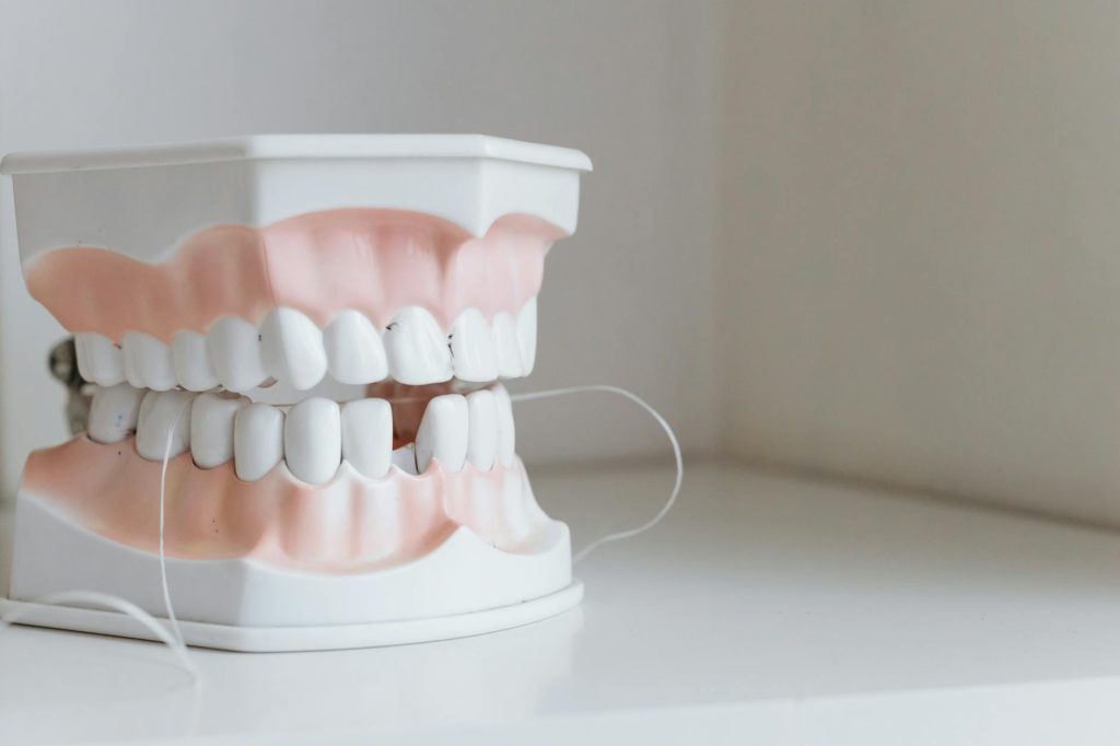 close up shot of dentures
