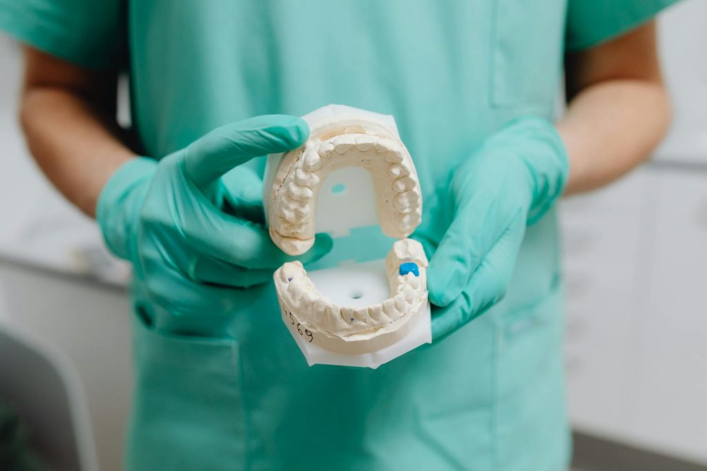 close up photo of dental model